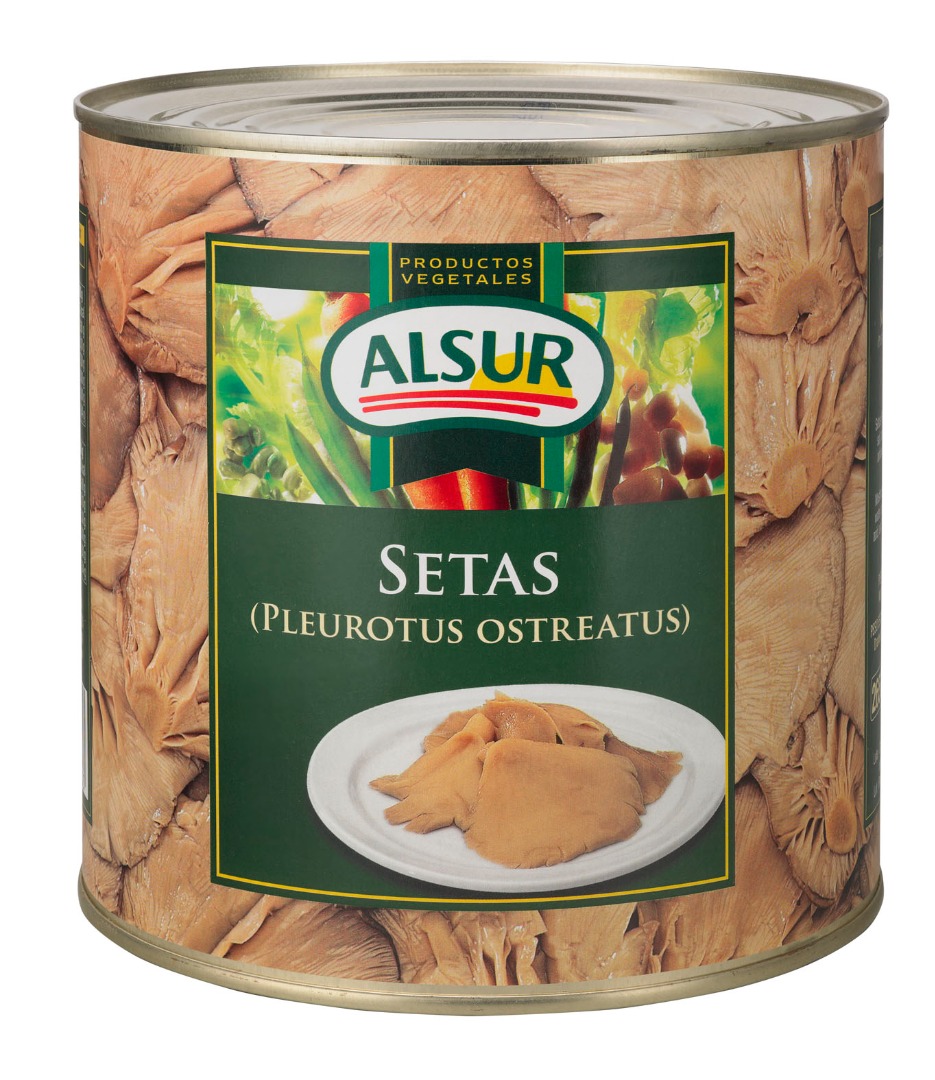 SETAS DE CARDO ALSUR Pe1.30K(CASH