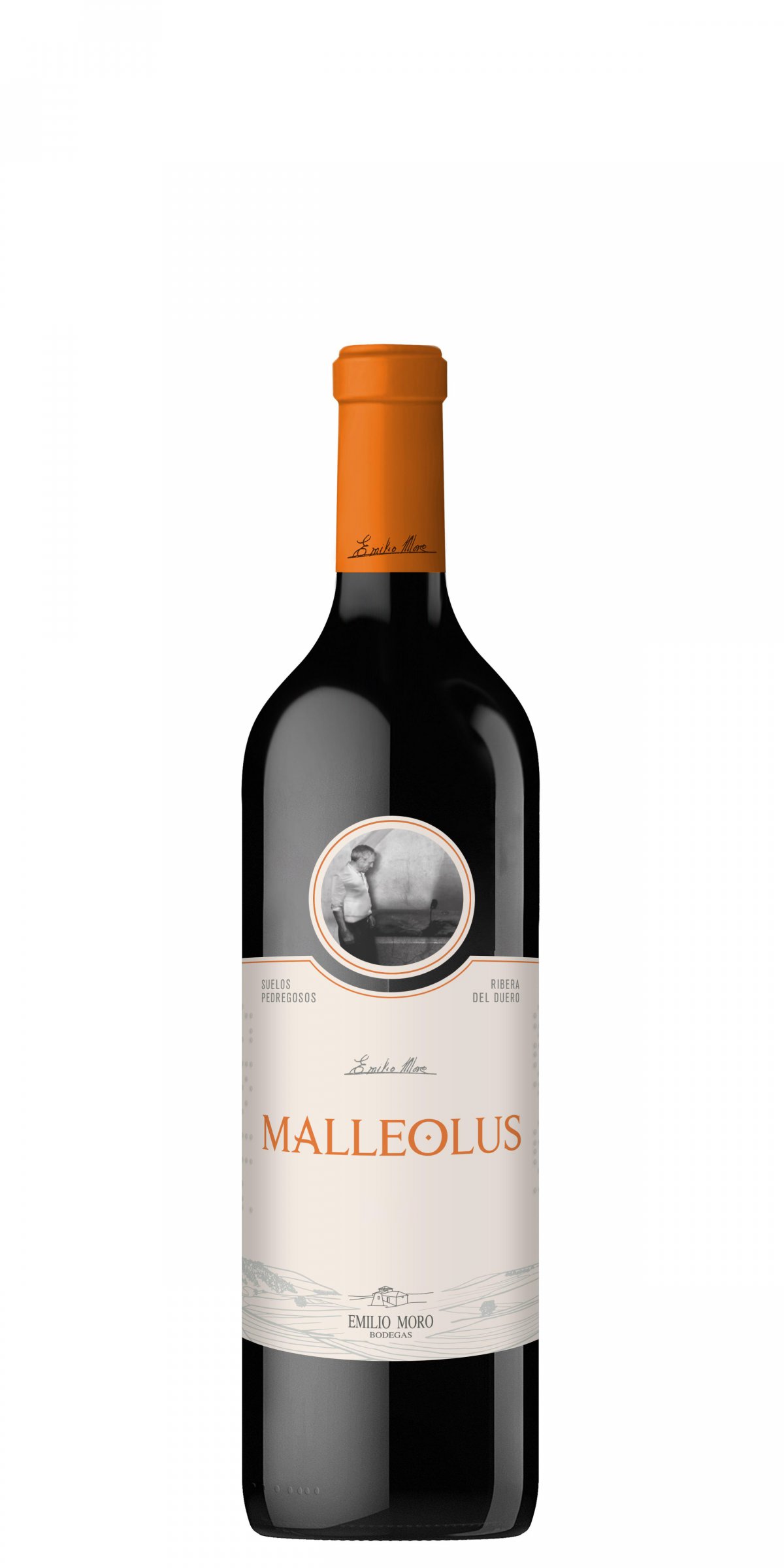 VINO R.D MALLEOLUS 75cl*