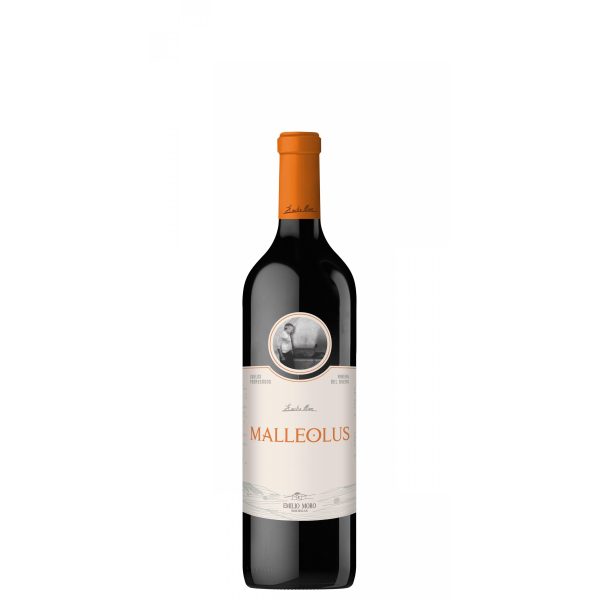 VINO R.D MALLEOLUS 75cl*