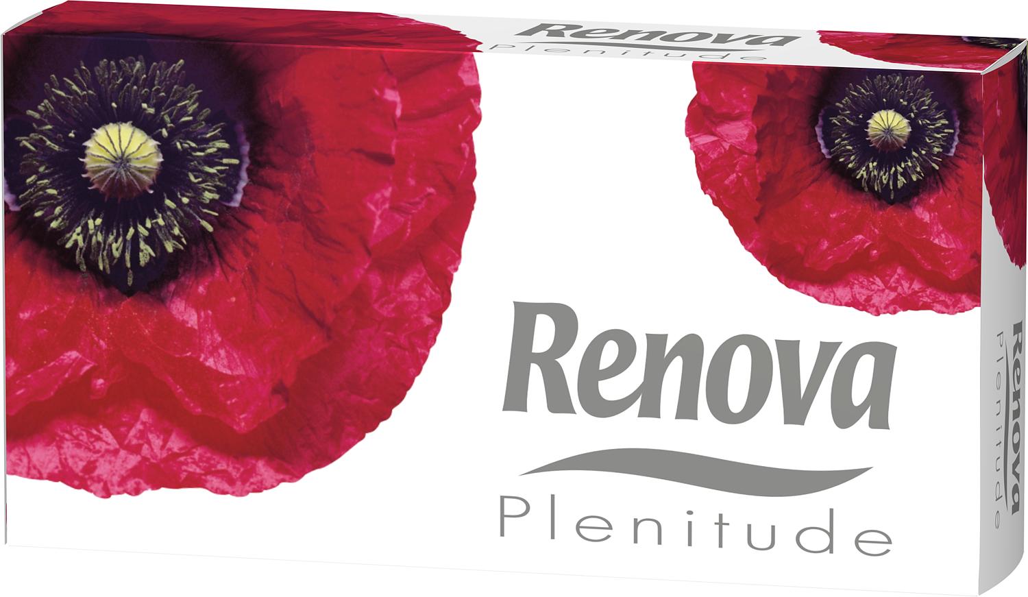 PAÑUELO FACIAL RENOVA BNC 80u