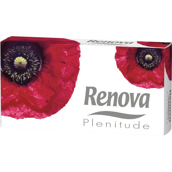 PAÑUELO FACIAL RENOVA BNC 80u